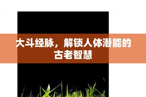 大斗经脉,解锁人体潜能的古老智慧 大斗经脉,解锁人体潜能的古老智慧