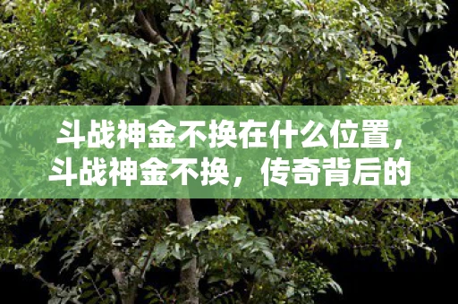 斗战神金不换在什么位置，斗战神金不换，传奇背后的故事