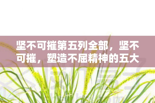坚不可摧第五列全部，坚不可摧，塑造不屈精神的五大要素
