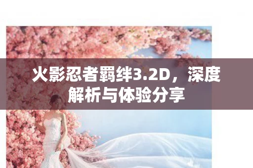 深度解析与体验分享图片