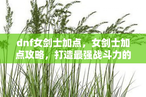 dnf女剑士加点，女剑士加点攻略，打造最强战斗力的关键