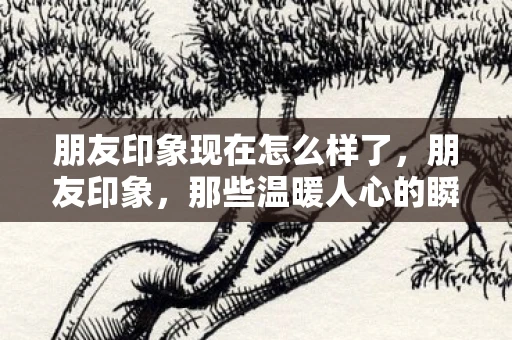 朋友印象现在怎么样了，朋友印象，那些温暖人心的瞬间