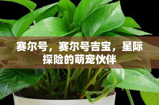 赛尔号，赛尔号吉宝，星际探险的萌宠伙伴