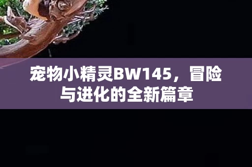 宠物小精灵BW145图片