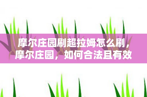 摩尔庄园刷超拉姆怎么刷，摩尔庄园，如何合法且有效地提升超拉姆等级
