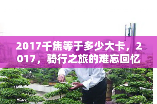 2017千焦等于多少大卡，2017，骑行之旅的难忘回忆