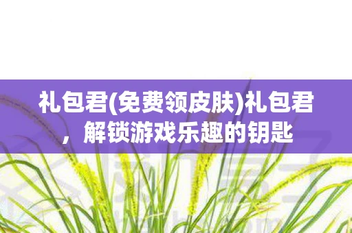 礼包君(免费领皮肤)礼包君，解锁游戏乐趣的钥匙