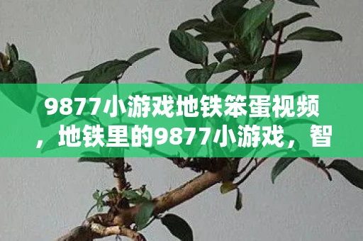9877小游戏地铁笨蛋视频，地铁里的9877小游戏，智慧与乐趣的碰撞