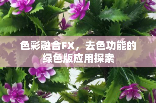 去色功能的绿色版应用探索图片