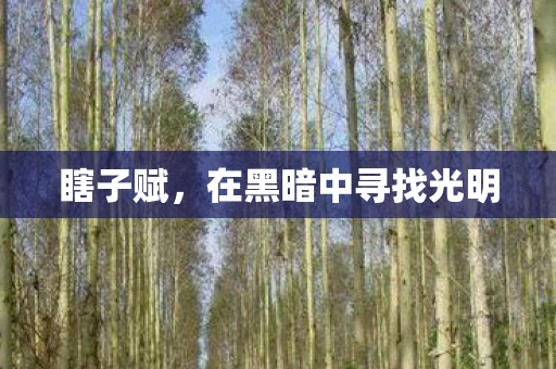 瞎子赋，在黑暗中寻找光明