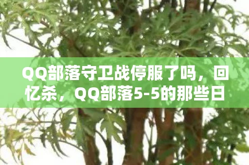 QQ部落守卫战停服了吗,回忆杀,QQ部落5-5的那些日子 QQ部落守卫战停服了吗,回忆杀,QQ部落5-5的那些日子