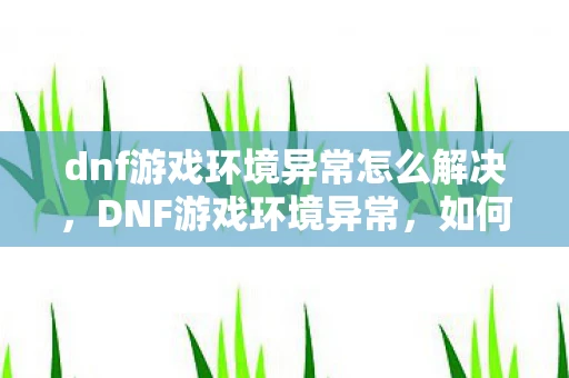 dnf游戏环境异常怎么解决，DNF游戏环境异常，如何保障游戏安全与公平