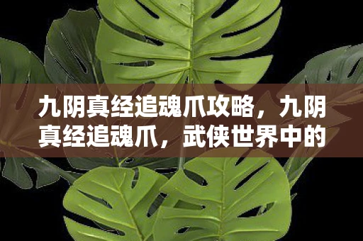 九阴真经追魂爪攻略，九阴真经追魂爪，武侠世界中的神秘武技