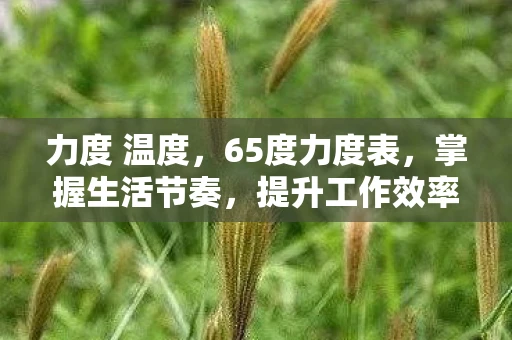 力度 温度，65度力度表，掌握生活节奏，提升工作效率