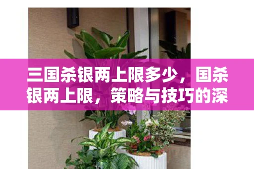 三国杀银两上限多少,国杀银两上限,策略与技巧的深度解析 三国杀银两上限多少,国杀银两上限,策略与技巧的深度解析