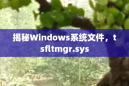 揭秘Windows系统文件，tsfltmgr.sys