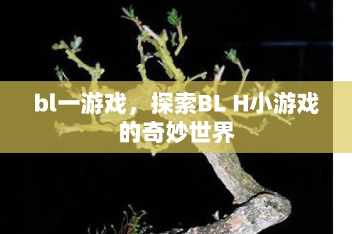 bl一游戏，探索BL H小游戏的奇妙世界