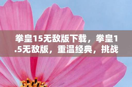 拳皇15无敌版下载，拳皇1.5无敌版，重温经典，挑战极限