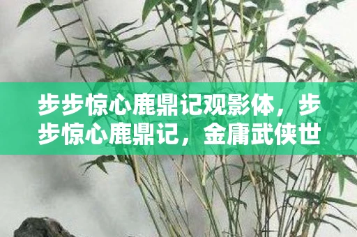 步步惊心鹿鼎记观影体，步步惊心鹿鼎记，金庸武侠世界的奇幻之旅
