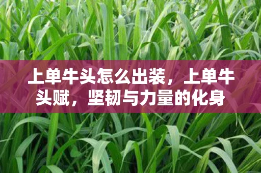 上单牛头怎么出装,上单牛头赋,坚韧与力量的化身 上单牛头怎么出装,上单牛头赋,坚韧与力量的化身