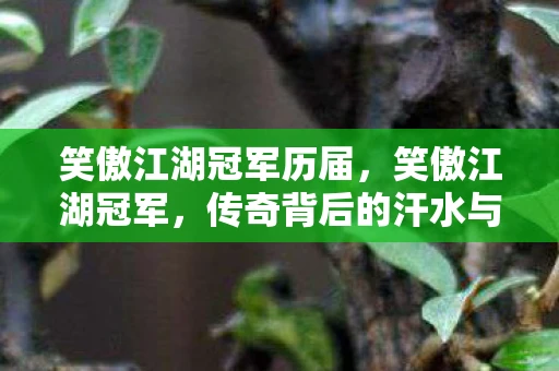 笑傲江湖冠军历届，笑傲江湖冠军，传奇背后的汗水与坚持