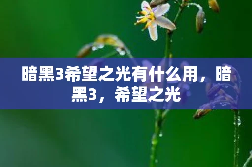 暗黑3希望之光有什么用，暗黑3，希望之光