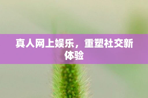 真人网上娱乐，重塑社交新体验