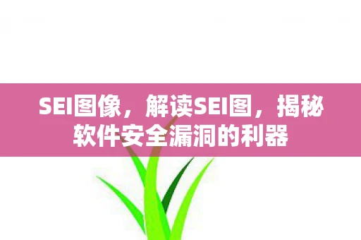 SEI图像，解读SEI图，揭秘软件安全漏洞的利器