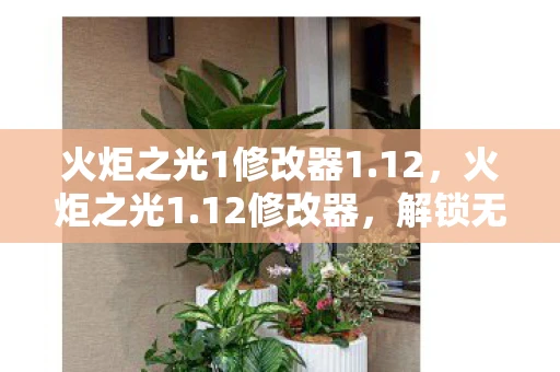 火炬之光1修改器1.12，火炬之光1.12修改器，解锁无限可能的冒险之旅