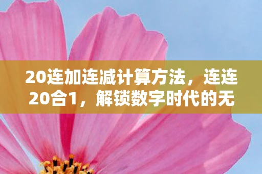 20连加连减计算方法，连连20合1，解锁数字时代的无限可能