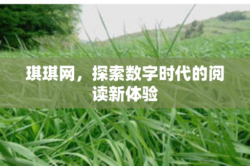 琪琪网，探索数字时代的阅读新体验