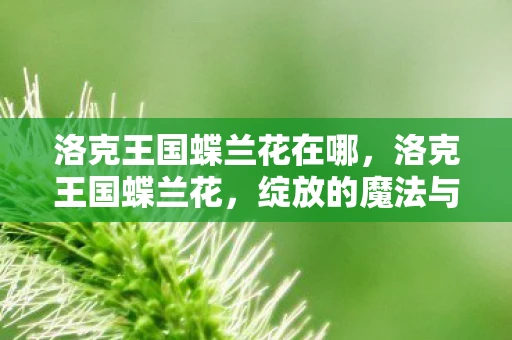 洛克王国蝶兰花在哪，洛克王国蝶兰花，绽放的魔法与奇迹