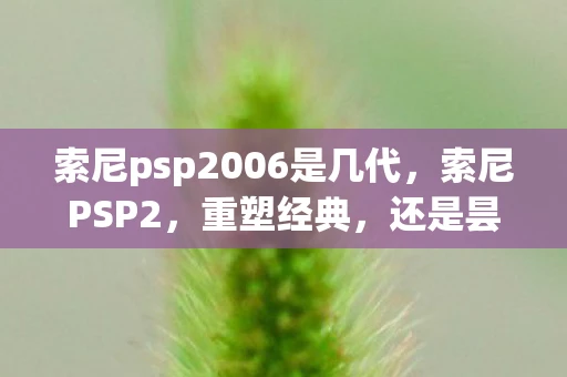 索尼psp2006是几代，索尼PSP2，重塑经典，还是昙花一现？