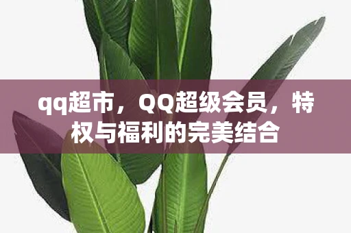 qq超市，QQ超级会员，特权与福利的完美结合