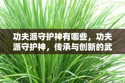 功夫派守护神有哪些,功夫派守护神,传承与创新的武侠精神 功夫派守护神有哪些,功夫派守护神,传承与创新的武侠精神
