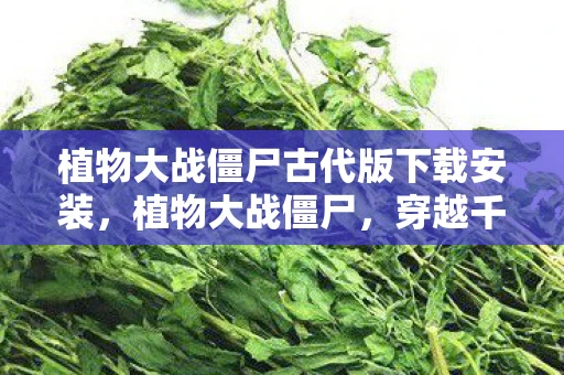 植物大战僵尸古代版下载安装，植物大战僵尸，穿越千年的策略对决