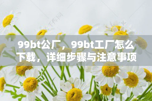 99bt公厂，99bt工厂怎么下载，详细步骤与注意事项