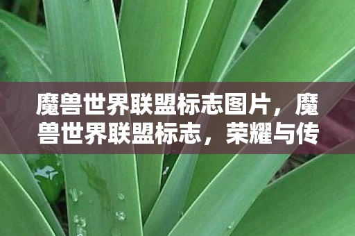 魔兽世界联盟标志图片,魔兽世界联盟标志,荣耀与传承的象征 魔兽世界联盟标志图片,魔兽世界联盟标志,荣耀与传承的象征
