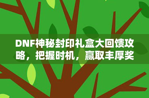 DNF神秘封印礼盒大回馈攻略图片