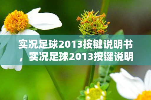 实况足球2013按键说明书,实况足球2013按键说明,掌握游戏精髓,提升竞技水平 实况足球2013按键说明书,实况足球2013按键说明,掌握游戏精髓,提升竞技水平