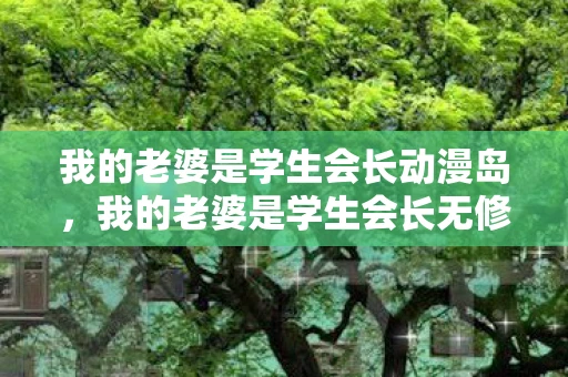 我的老婆是学生会长动漫岛，我的老婆是学生会长无修版