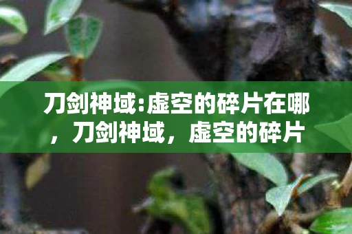 刀剑神域:虚空的碎片在哪,刀剑神域,虚空的碎片 刀剑神域:虚空的碎片在哪,刀剑神域,虚空的碎片