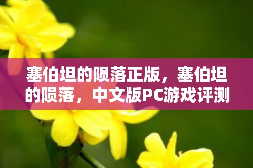 塞伯坦的陨落正版，塞伯坦的陨落，中文版PC游戏评测