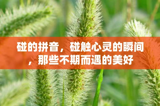 碰的拼音,碰触心灵的瞬间,那些不期而遇的美好 碰的拼音,碰触心灵的瞬间,那些不期而遇的美好