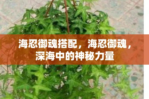 海忍御魂搭配，海忍御魂，深海中的神秘力量