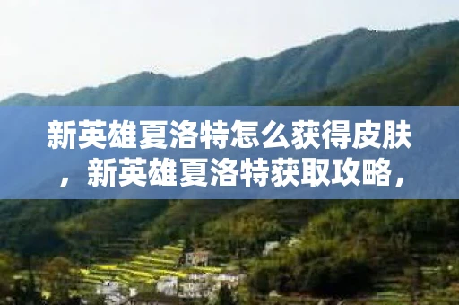 新英雄夏洛特怎么获得皮肤，新英雄夏洛特获取攻略，解锁这位传奇战士的秘诀