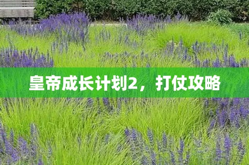 皇帝成长计划2，打仗攻略