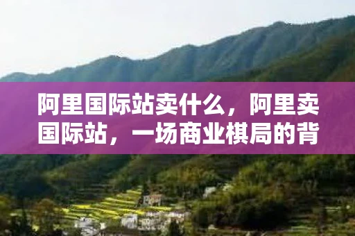 阿里国际站卖什么，阿里卖国际站，一场商业棋局的背后