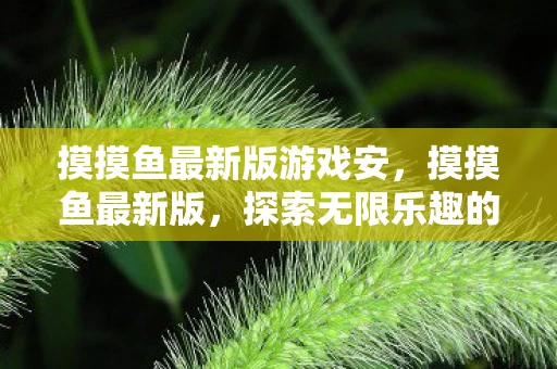 摸摸鱼最新版游戏安，摸摸鱼最新版，探索无限乐趣的游戏世界