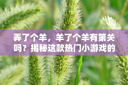 弄了个羊，羊了个羊有第关吗？揭秘这款热门小游戏的关卡设定